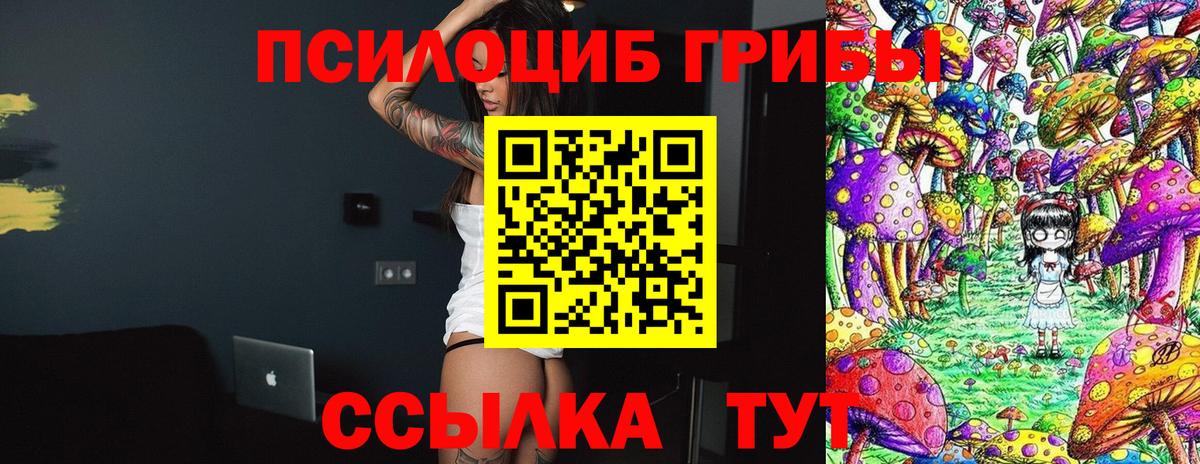 Галлюциногенные грибы GOLDEN TEACHER Будённовск