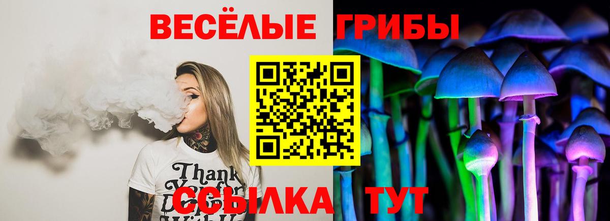 Псилоцибиновые грибы MAGIC MUSHROOMS  Вход с VPN  Будённовск 