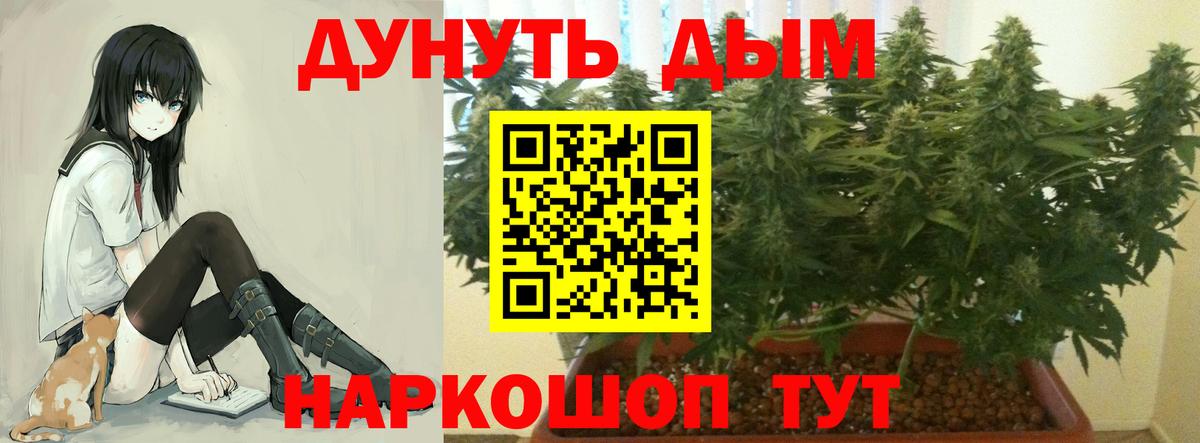 Будённовск  Шишки марихуана White Widow  Вход с VPN  Шишки марихуана ГИДРОПОН 